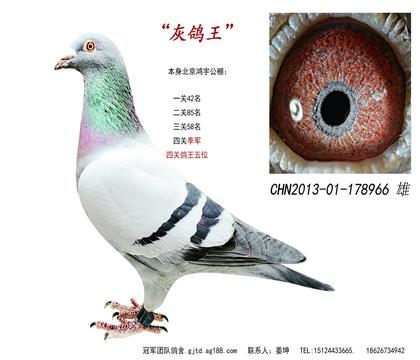 游һ5λ