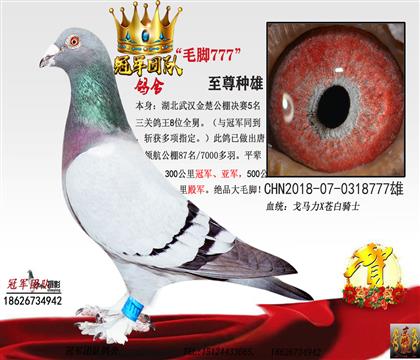 游һë777