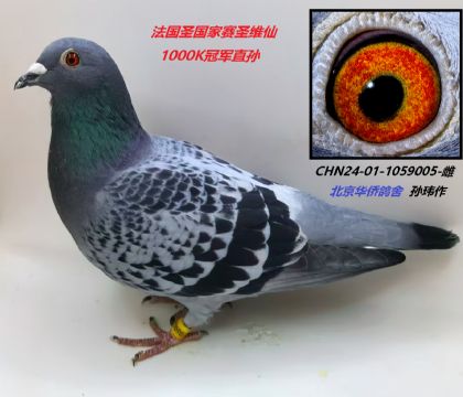 3--1000Kھֱ005
