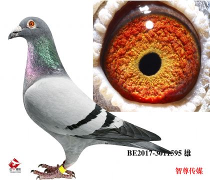 ͼȫ22