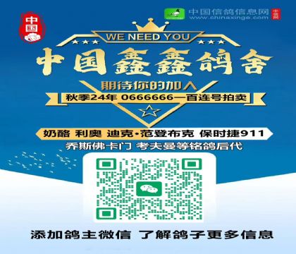 θᣩ0666666һ 