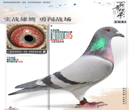 ϺݹﾫӢ846
