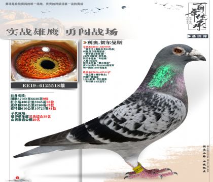 利奥原舍518