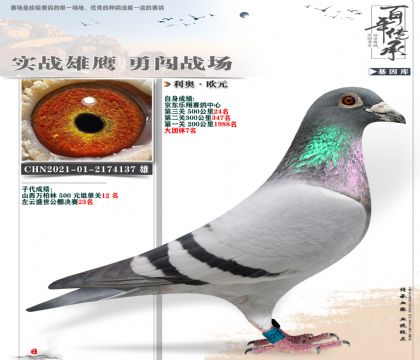利奥欧元公棚24名137