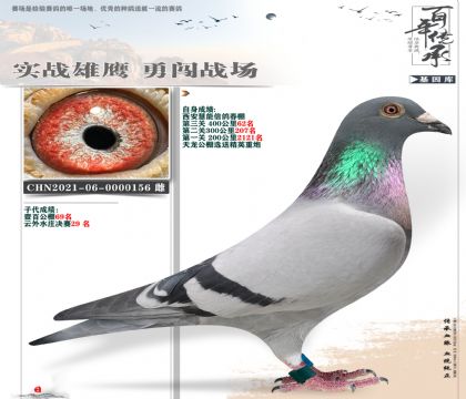 天龙送慧能公棚62名重炮156