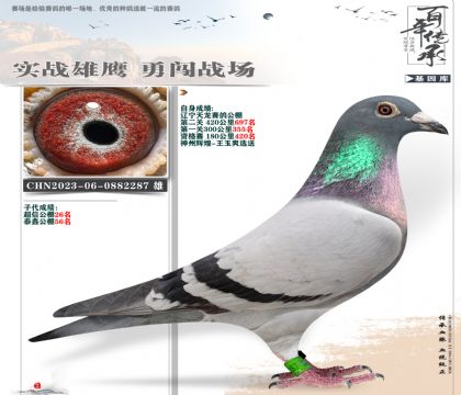 王玉爽送天龙重炮287