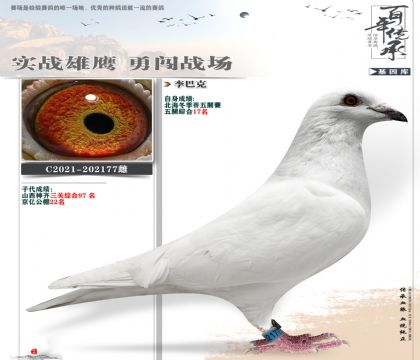 海翔五关综合17名李巴克金母177
