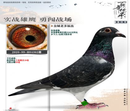 特别推荐乡下人老多福杰362