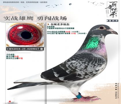 老多福杰3万元获奖017