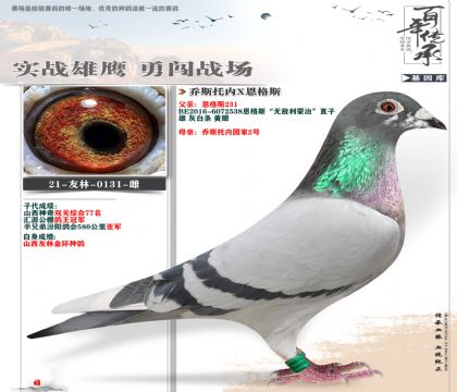特别推荐友林金环131