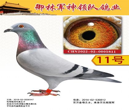 御林军津福4名X百万配对811