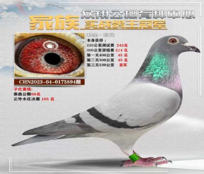 530公里亚军利奥894