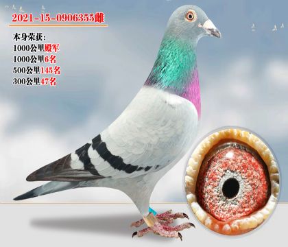 С ǧ  ع
