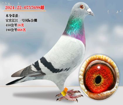  45016  ӴӶλ