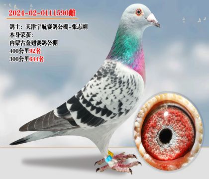 ־ѡɹŽ빫40092