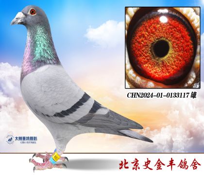 英格斯“冠军之父”直孙