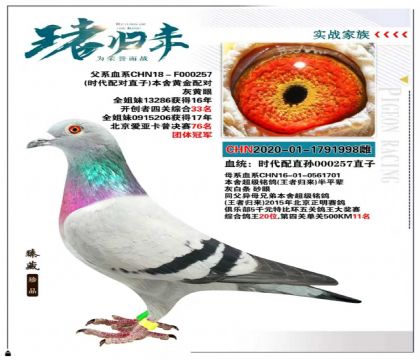 北京王府子龙作育”时代配直孙000257直子“