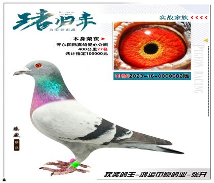 本身荣获开尔国际爱心公棚400公里77名