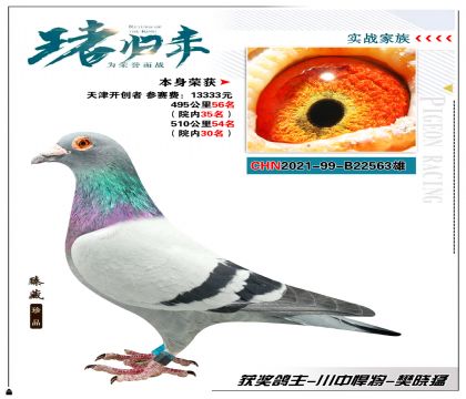 川中悍将-樊晓猛选送天津开创者 510公里院内30名
