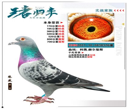 强烈推荐:利奥.赫尔曼斯 本身荣获700公里冠军