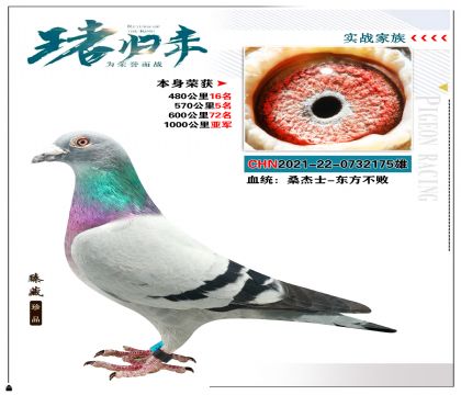 桑杰士-东方不败 本身荣获1000公里亚军