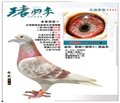 台湾飞事达竞翔研究中心作育“詹森系”