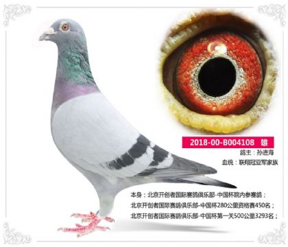 北京开创者国际赛鸽俱乐部-中国杯280公里资格赛450名