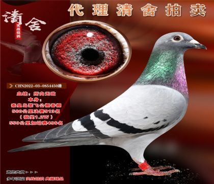 ޵гơȶӣ