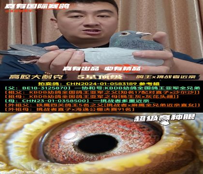 ǻͿˡKBDBxս߽