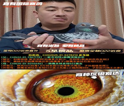 ĸ022ֱӥȫýĸ022