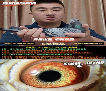 ĸ022Ŵӥx°ƥ
