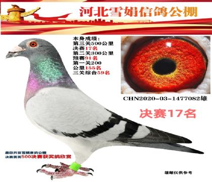 ѩ깫17ظ59