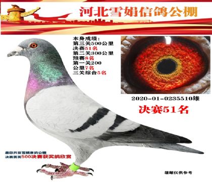 ѩŸ빫ۺ551