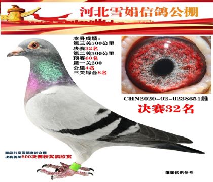 ѩŸ빫ظ8