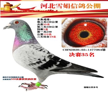 ڶ3005ظ19