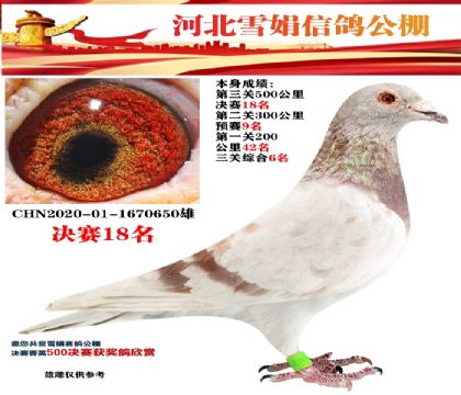 ظ618