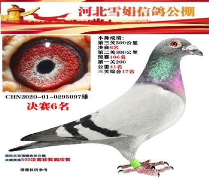 ѩŸ빫6