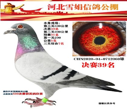 ظ739