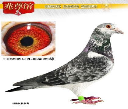 Ϻݲ԰ָ