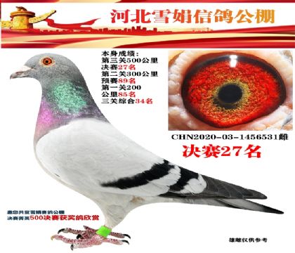 ѩ깫27