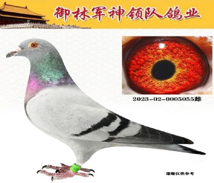 ־ӴʮѪϵ