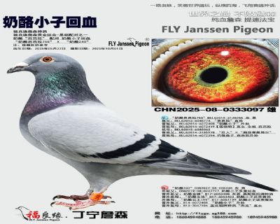 奶酪小子回血