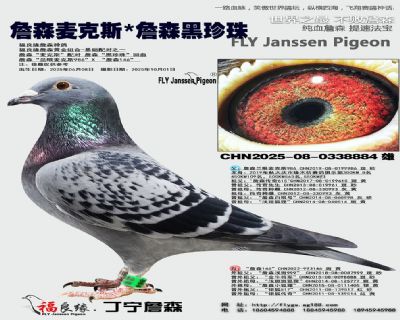 詹森麦克斯X詹森黑珍珠