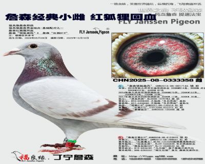 詹森红狐狸回血