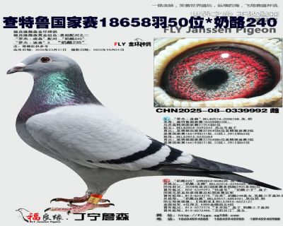 查特鲁国家赛18658羽50位X奶酪240