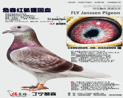 詹森红魔王母配子多重回血