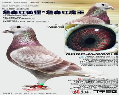 詹森红狐狸X詹森红魔王