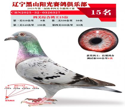 四关综合鸽王15位.第一关9位