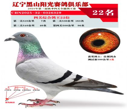 四关综合鸽王22位.第一关7位