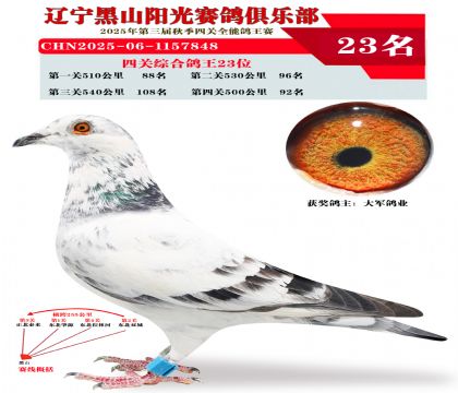 四关综合鸽王23位